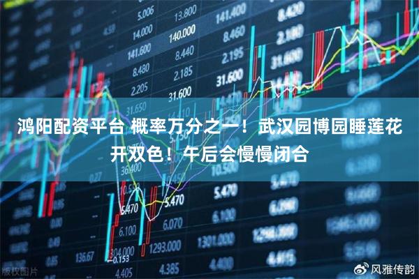 鸿阳配资平台 概率万分之一！武汉园博园睡莲花开双色！午后会慢慢闭合