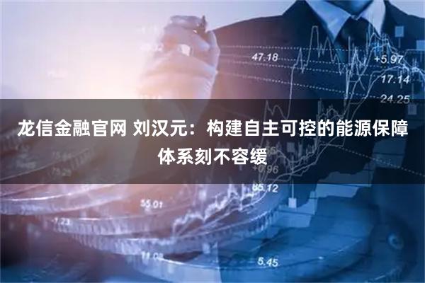 龙信金融官网 刘汉元：构建自主可控的能源保障体系刻不容缓